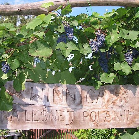 Winnica Na Lesnej Polanie Zabor Экстерьер фото